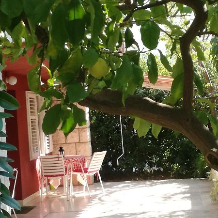Apartment Petrovic Korčula Екстериор снимка